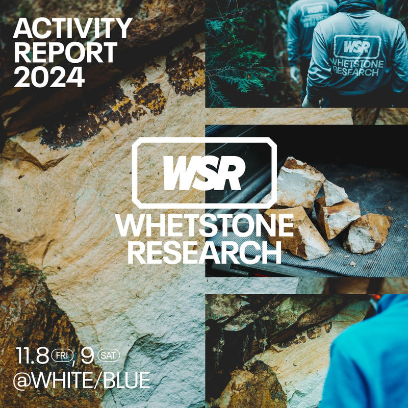 WHETSTONE RESEARCH Activity Report 2024